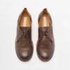 Ernesto Dolani 8UENE03 Brown Shoes - Brown