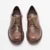 Le Ruemarcel PAUL 543 Brown Derby shoes - Brown