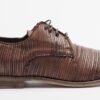 Ernesto Dolani 8UENE04 Black Derby shoes - Brown