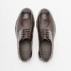 PROF C36A-02B Brown Derby shoes - Brown